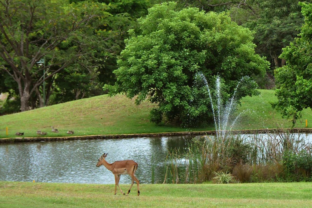 Kruger Park Lodge Unit No. 612 헤이지뷰 외부 사진